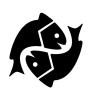 astroimage